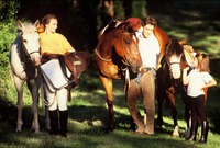 Vittel, l'équitation nature.